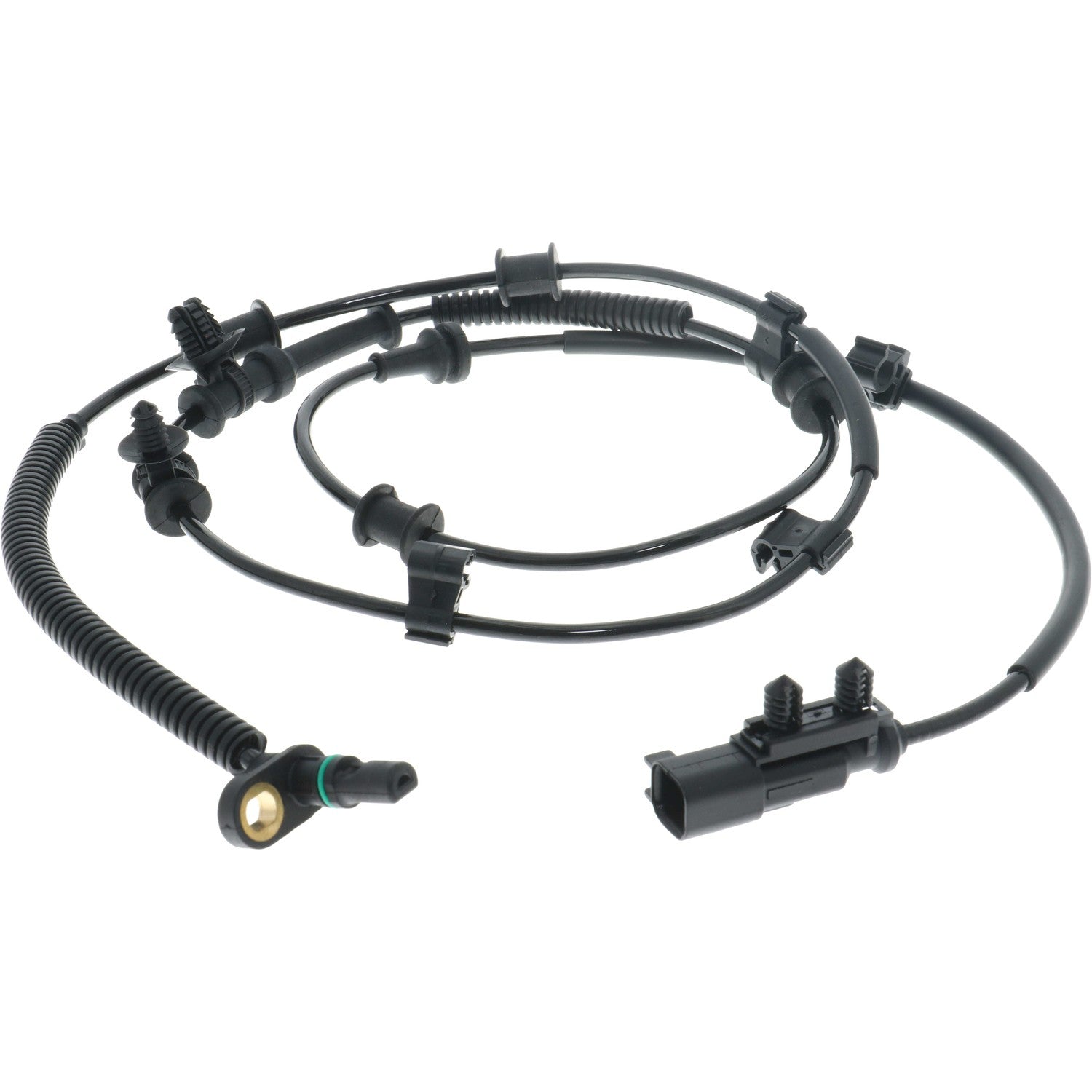 Holstein 2ABS5252 image 3