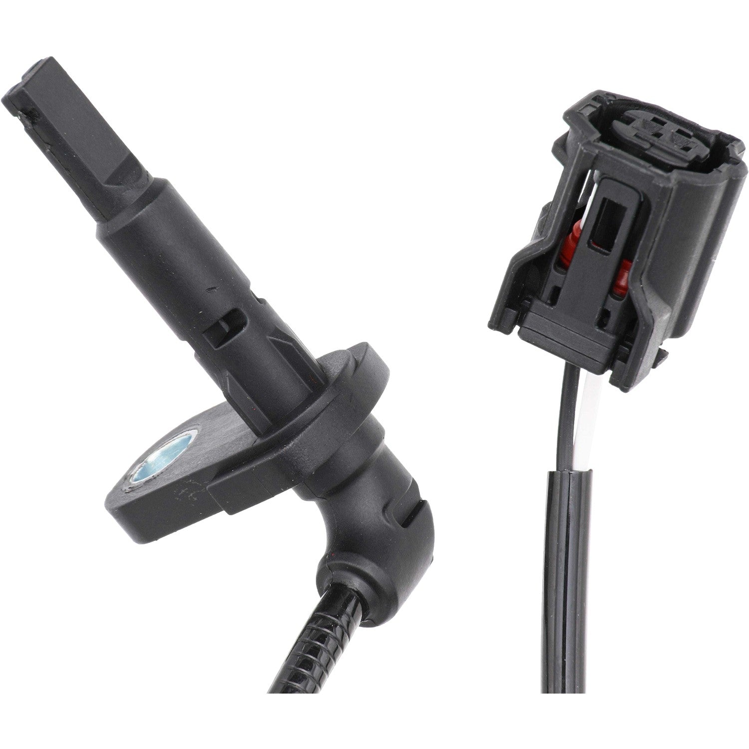 Holstein 2ABS5445 image 2