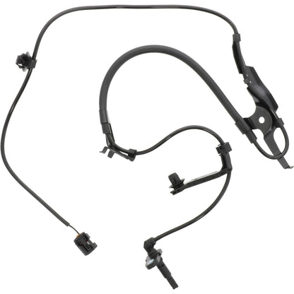 Holstein 2ABS5458 main image