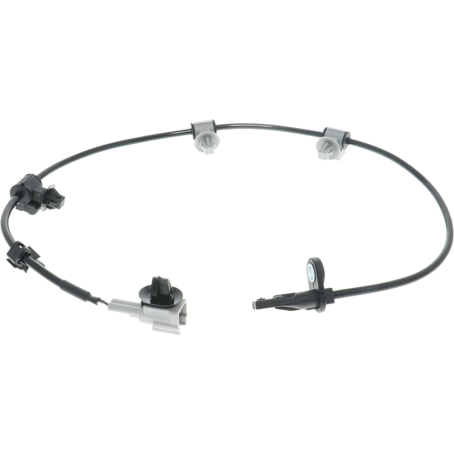 Holstein 2ABS5582 image 3