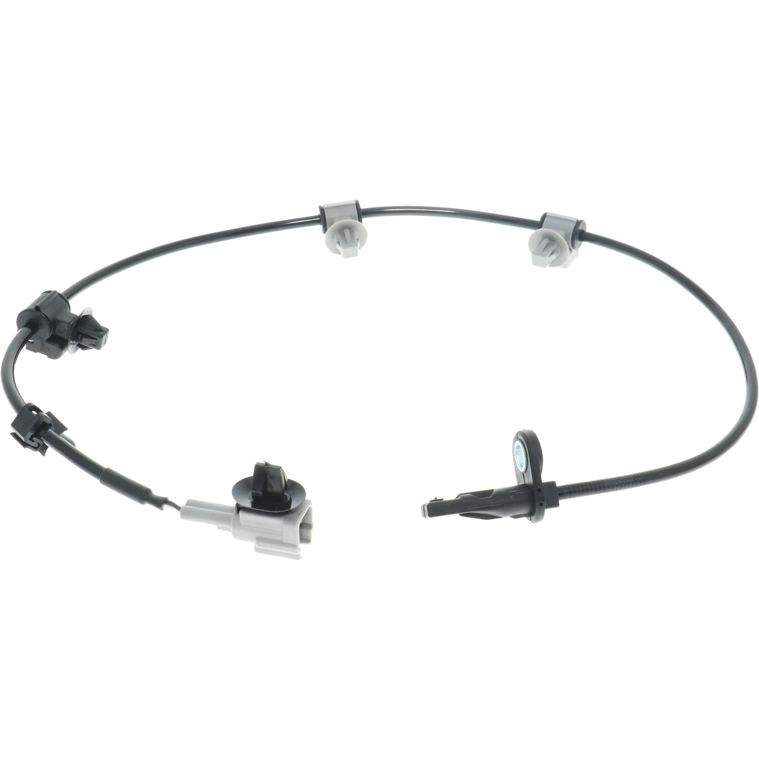 Holstein 2ABS5582 image 3