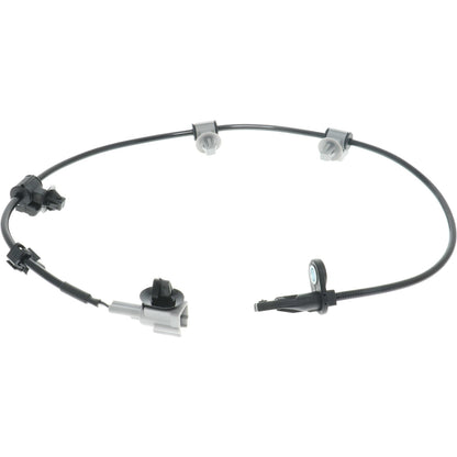 Holstein 2ABS5582 image 3