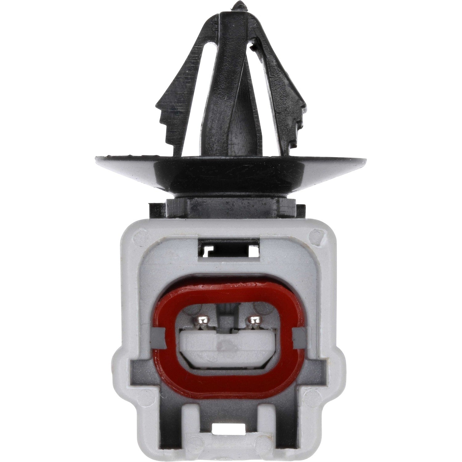 Holstein 2ABS5582 image 5