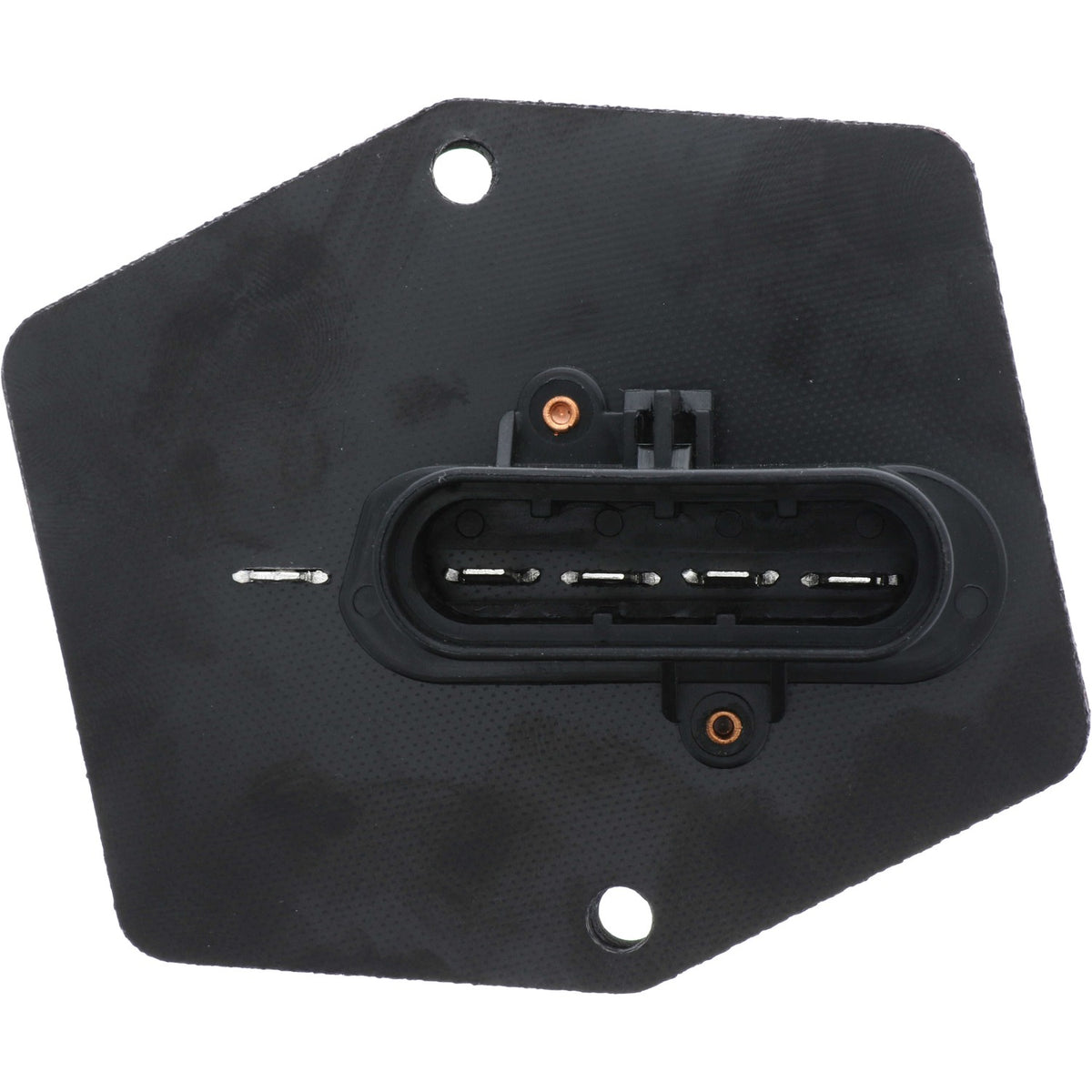 Holstein 2BMR0077K