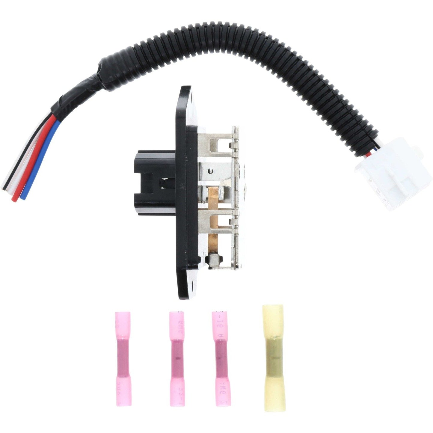 Holstein 2BMR0358K