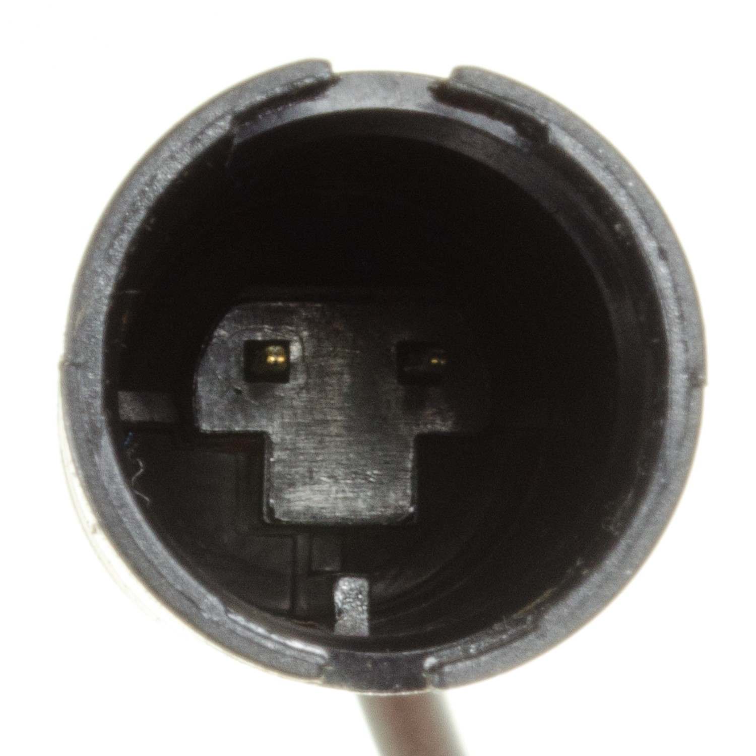 HOLSTEIN Disc Brake Pad Wear Sensor 2BWS0096