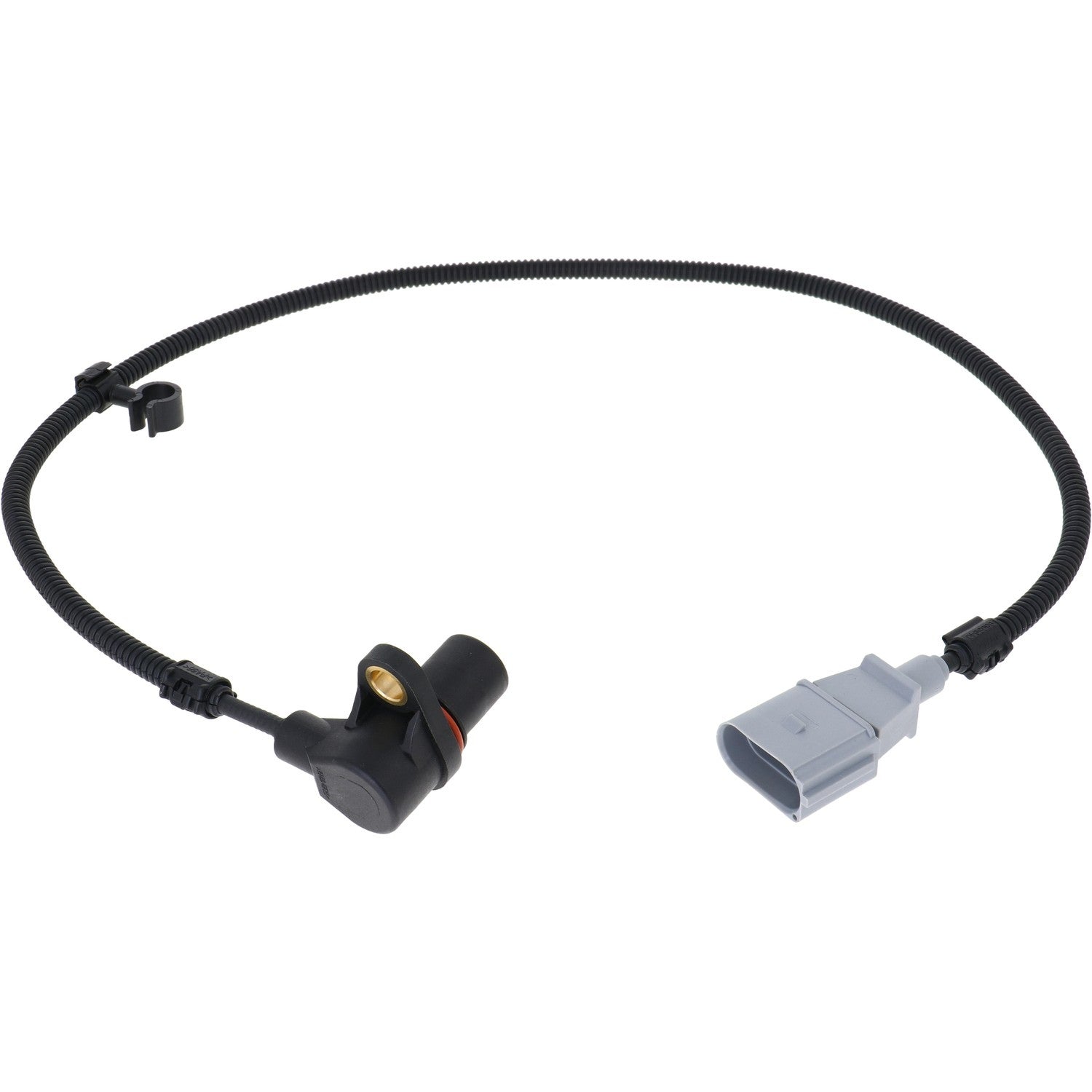 HOLSTEIN Engine Crankshaft Position Sensor 2CRK0016
