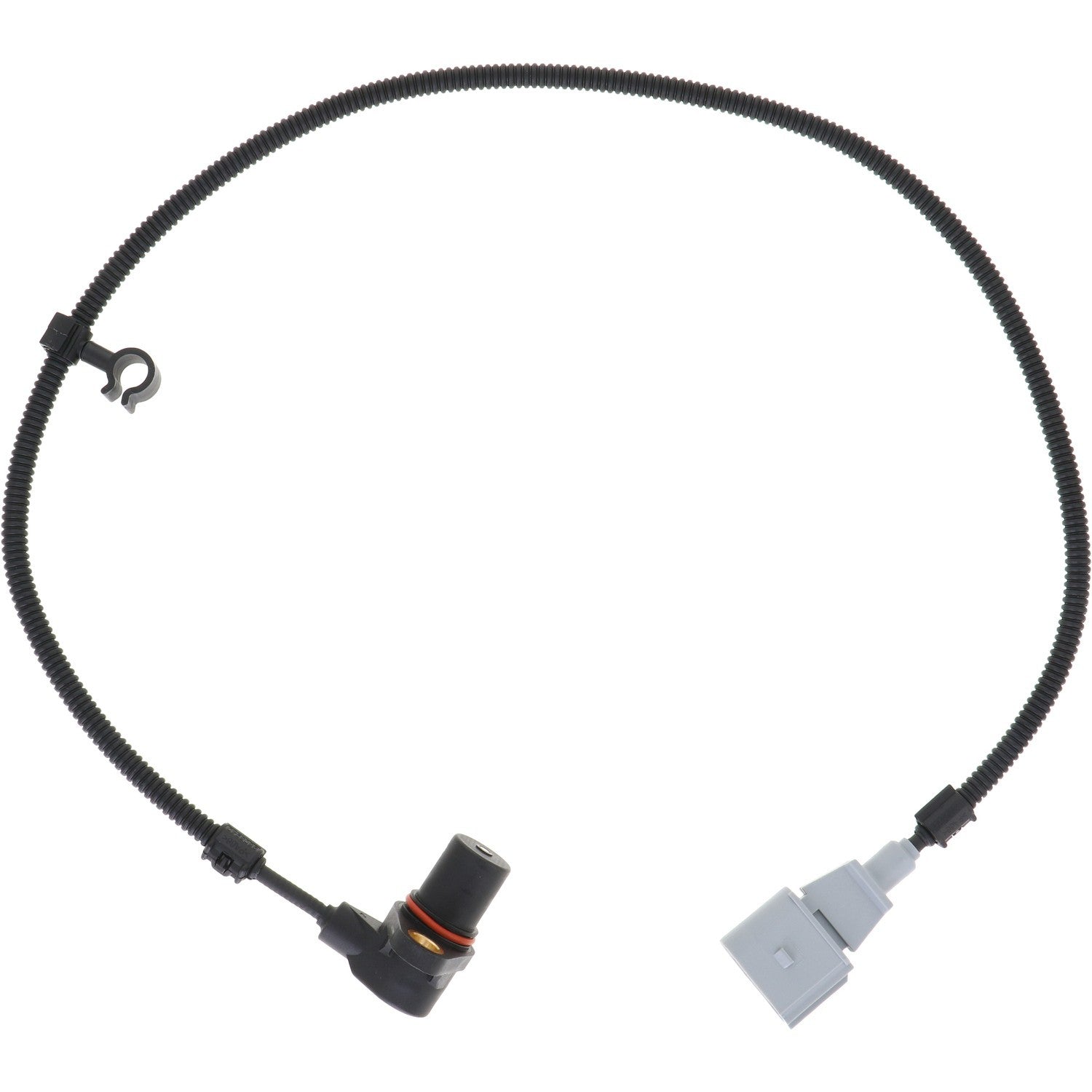 HOLSTEIN Engine Crankshaft Position Sensor 2CRK0016