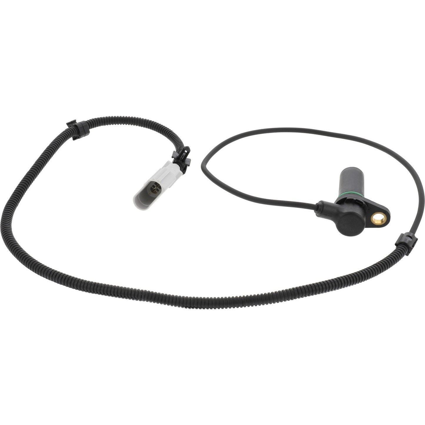 Holstein Engine Crankshaft Position Sensor 2CRK0054 image 4
