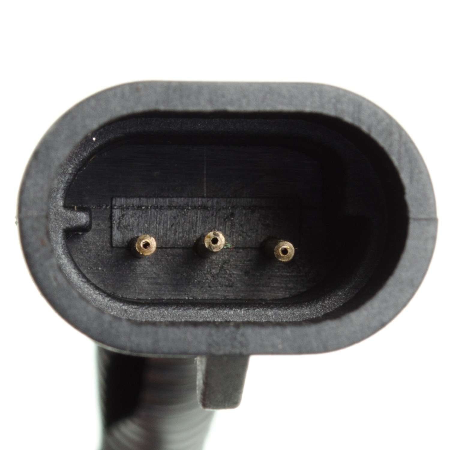HOLSTEIN Engine Crankshaft Position Sensor 2CRK0197
