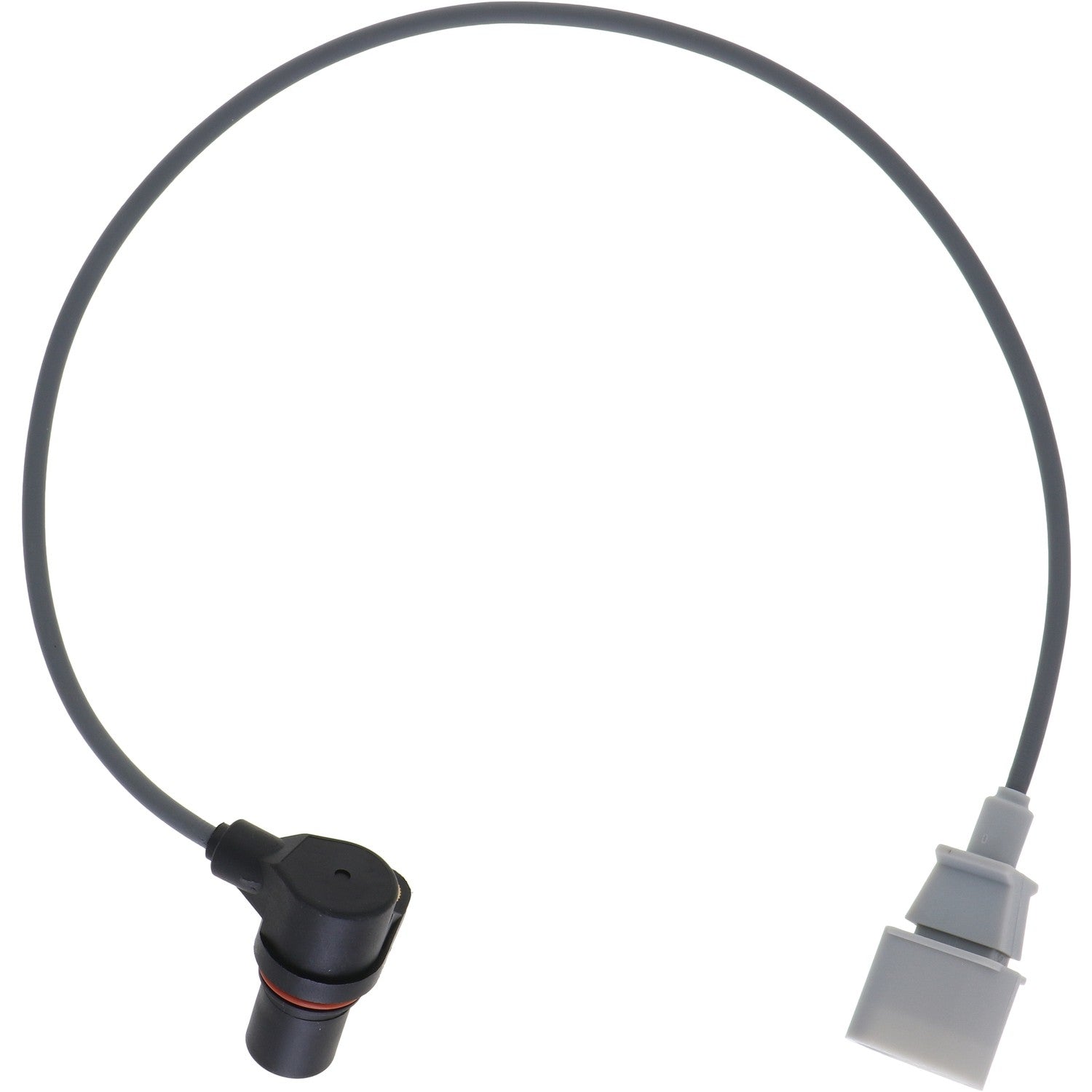 HOLSTEIN Engine Crankshaft Position Sensor 2CRK0208