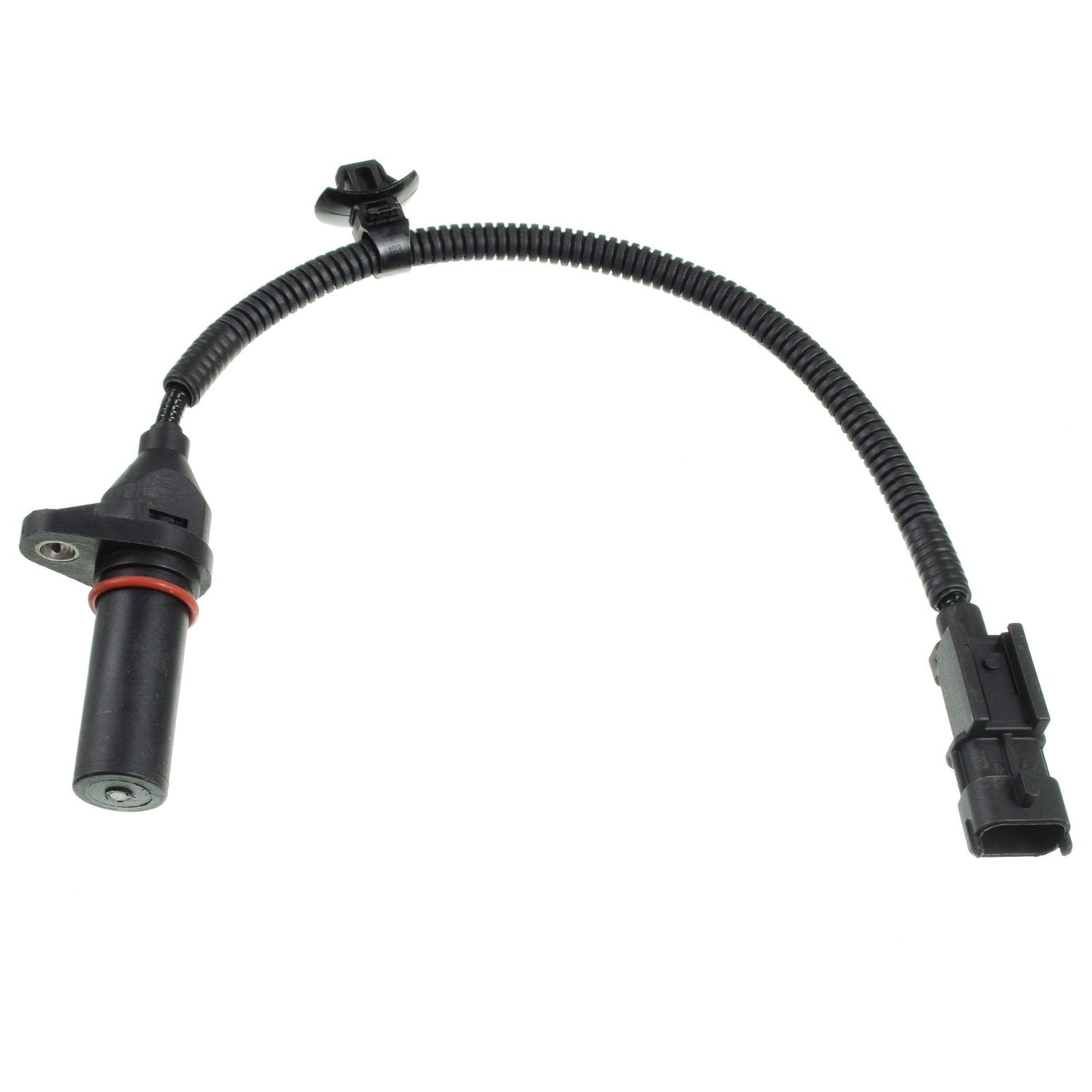 HOLSTEIN Engine Crankshaft Position Sensor 2CRK0316