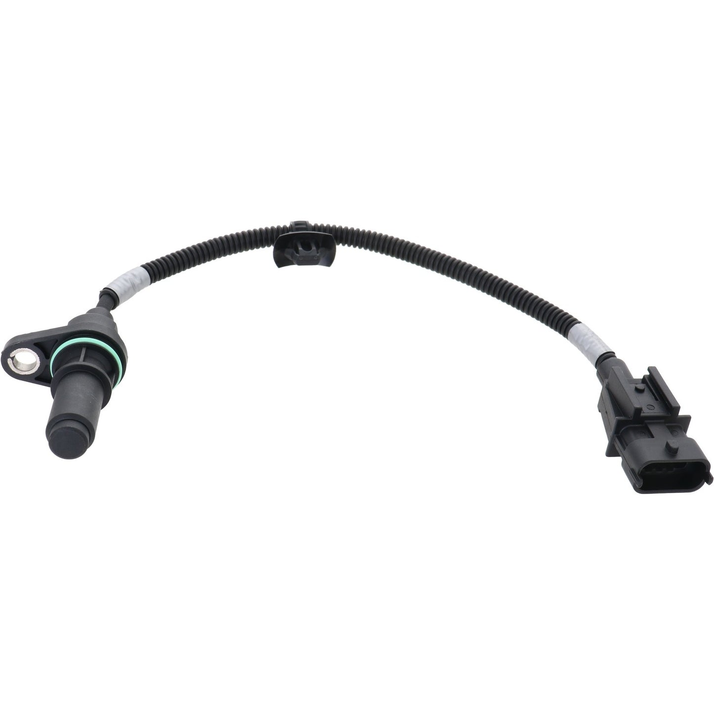 HOLSTEIN Engine Crankshaft Position Sensor 2CRK0347