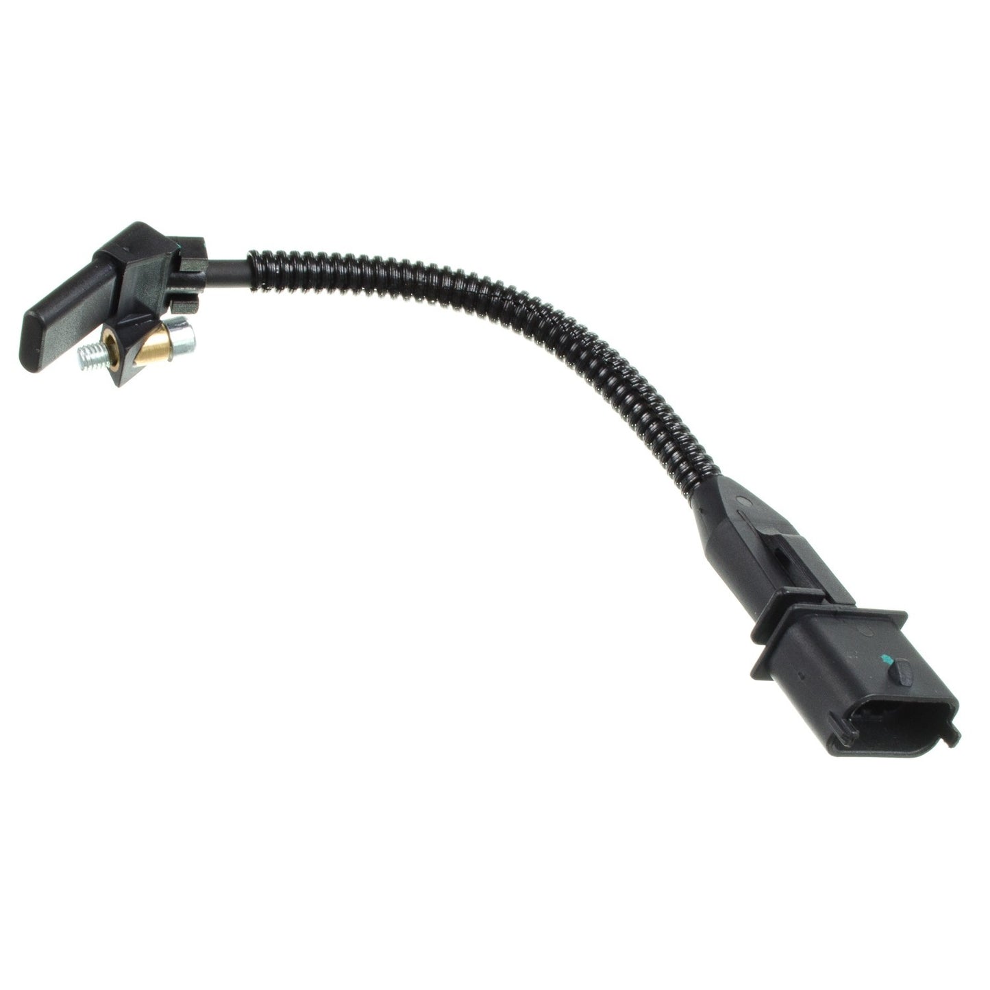 HOLSTEIN Engine Crankshaft Position Sensor 2CRK0353