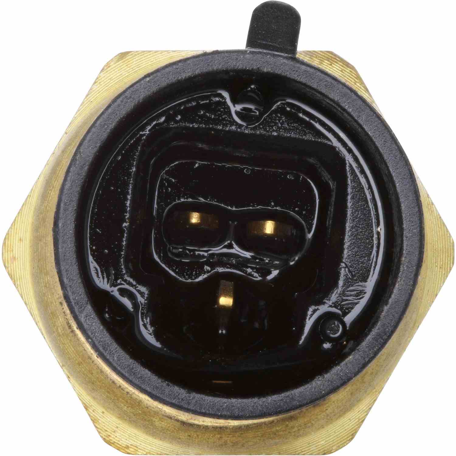 HOLSTEIN Holstein Parts 2CTS0002 Engine Coolant Temperature Sensor 2CTS0002