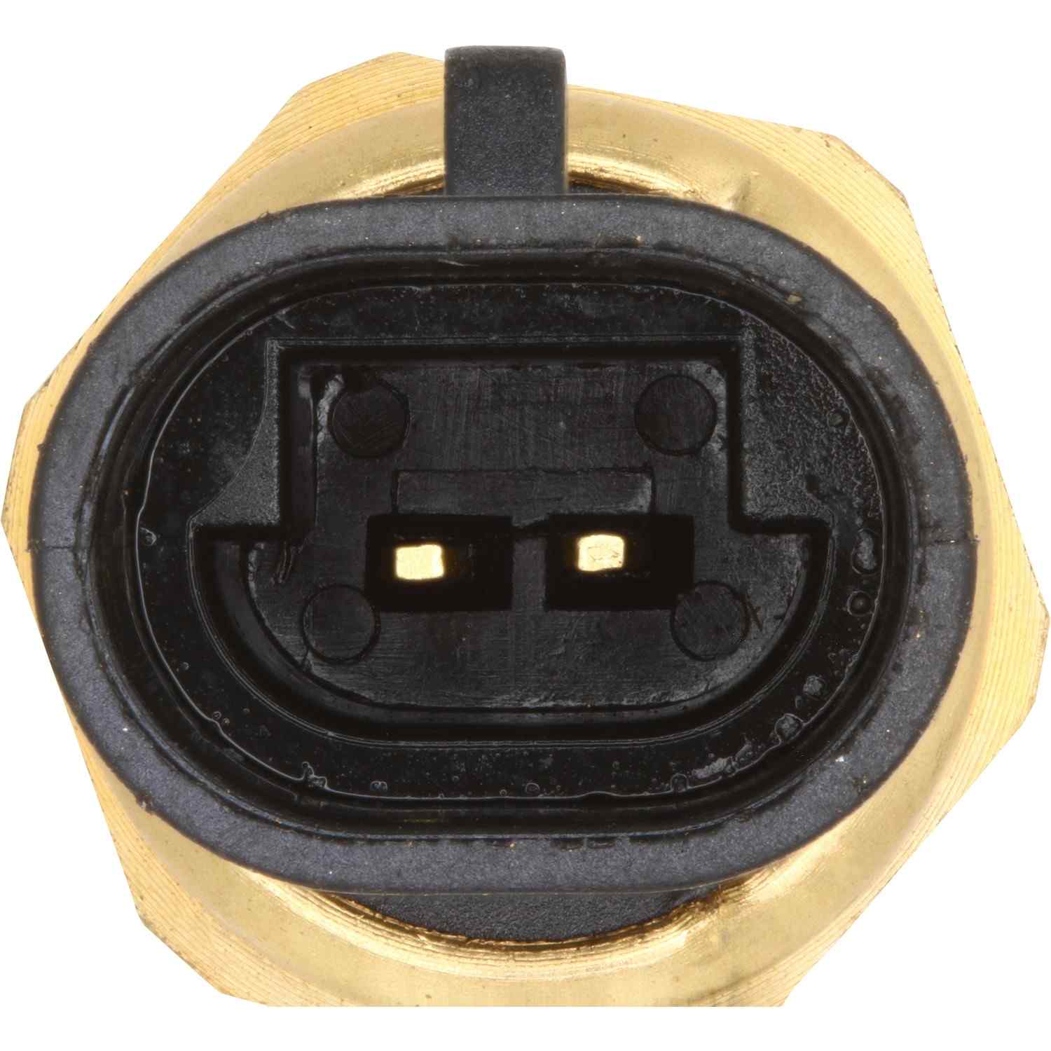 HOLSTEIN Engine Coolant Temperature Sensor 2CTS0003