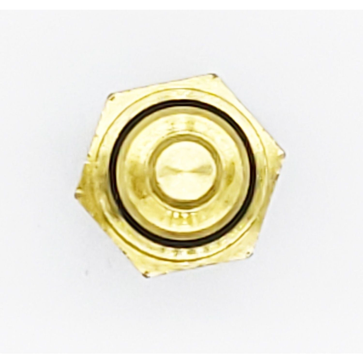 HOLSTEIN Engine Coolant Temperature Sensor 2CTS0039