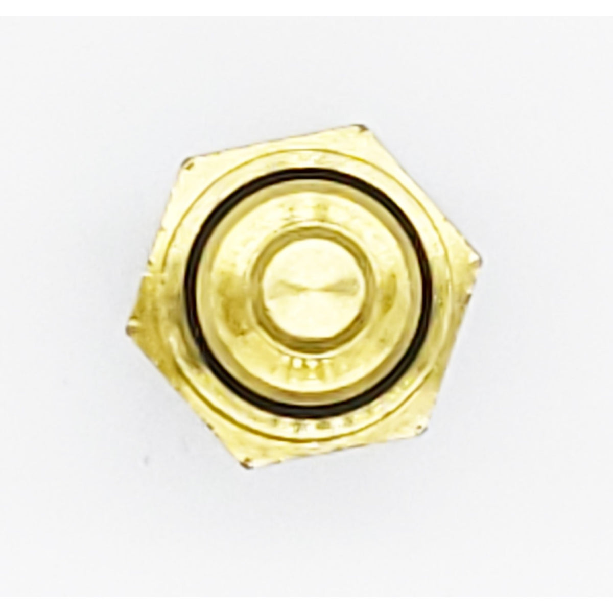 HOLSTEIN Engine Coolant Temperature Sensor 2CTS0039