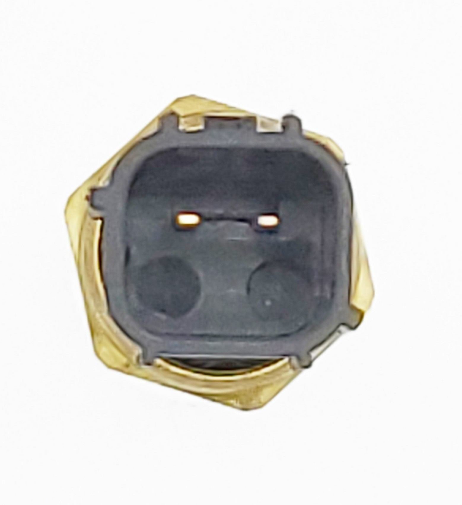 HOLSTEIN Engine Coolant Temperature Sensor 2CTS0059