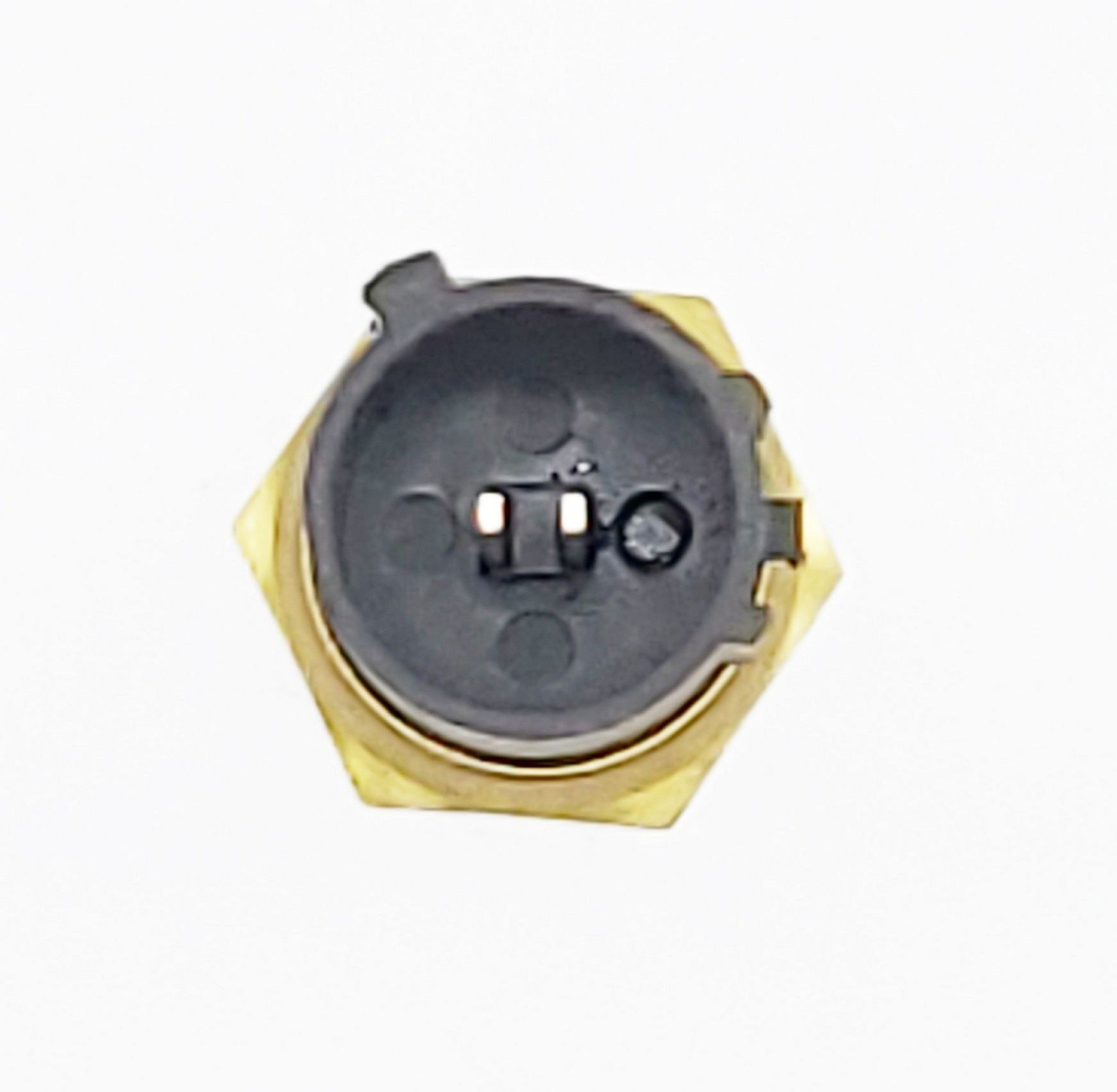 HOLSTEIN Engine Coolant Temperature Sensor 2CTS0121