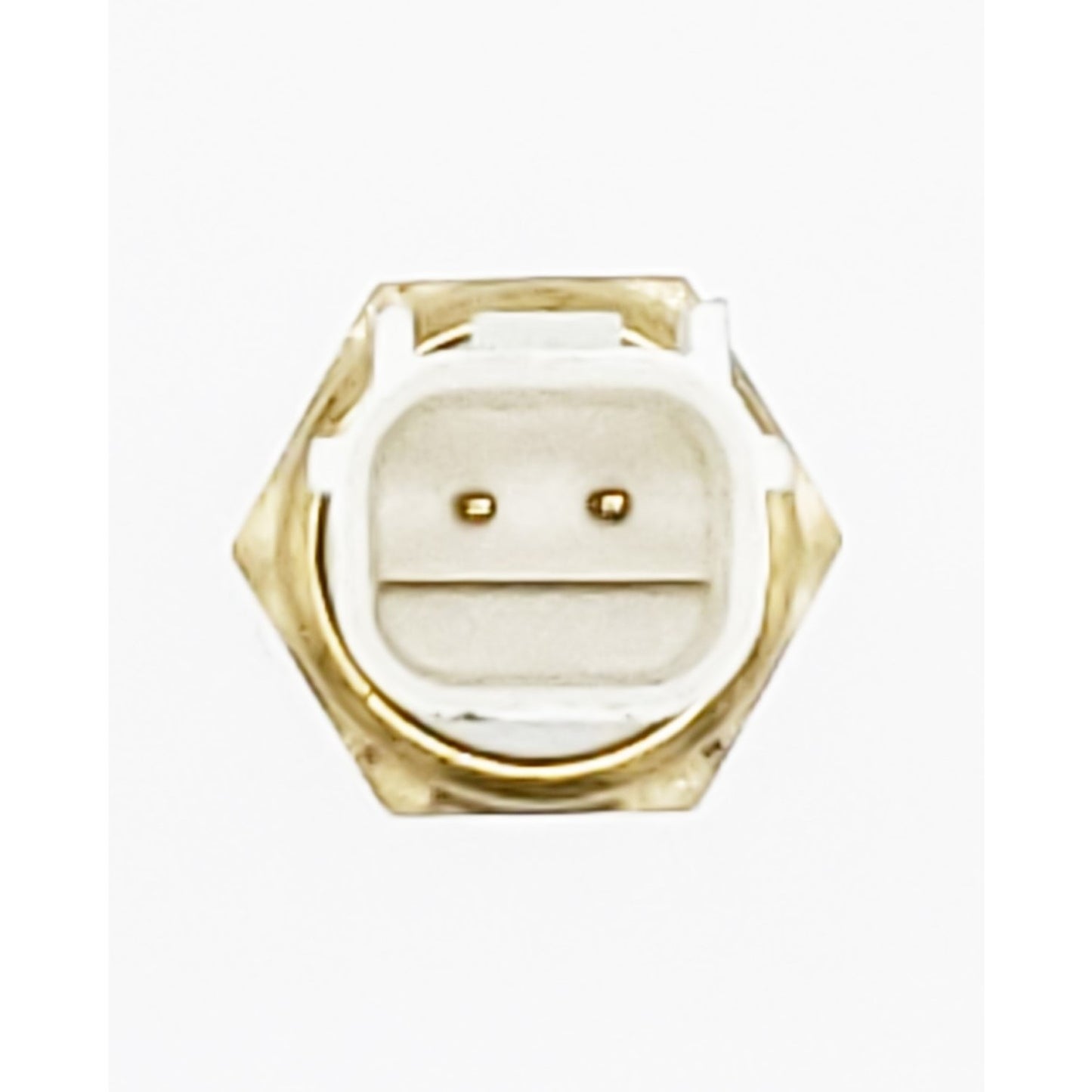 HOLSTEIN Engine Coolant Temperature Sensor 2CTS0123