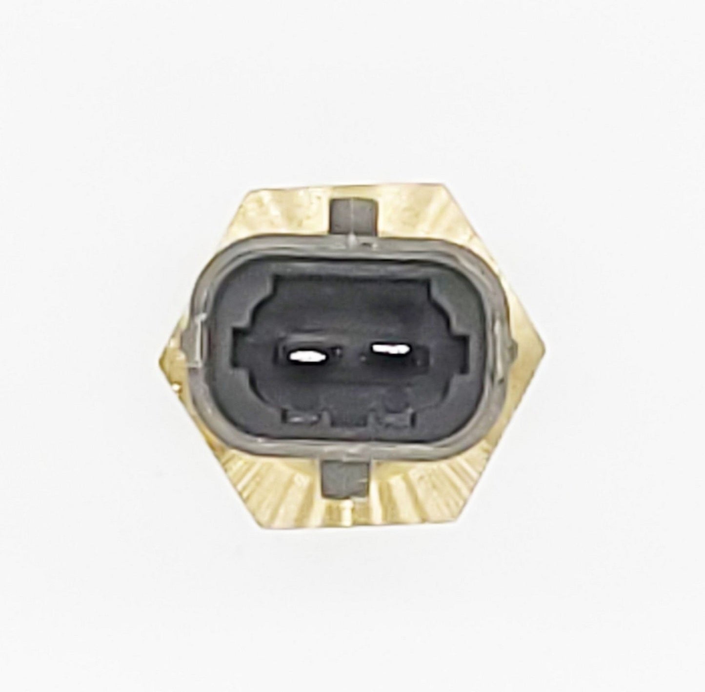 HOLSTEIN Engine Coolant Temperature Sensor 2CTS0219