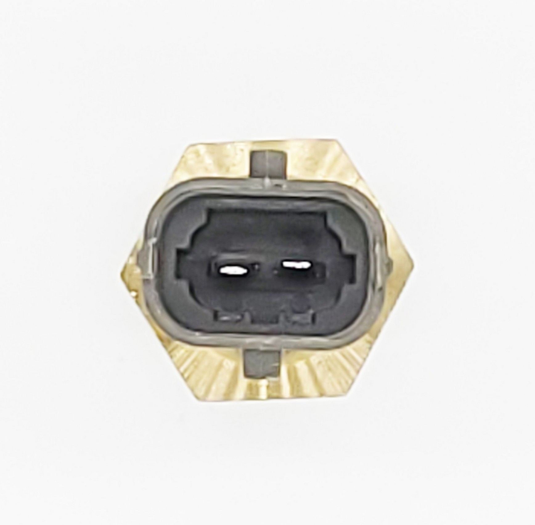 HOLSTEIN Engine Coolant Temperature Sensor 2CTS0219