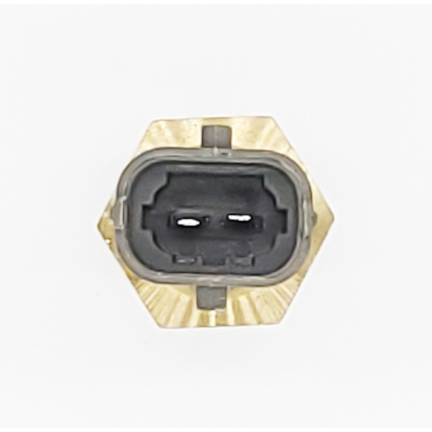 HOLSTEIN Engine Coolant Temperature Sensor 2CTS0219