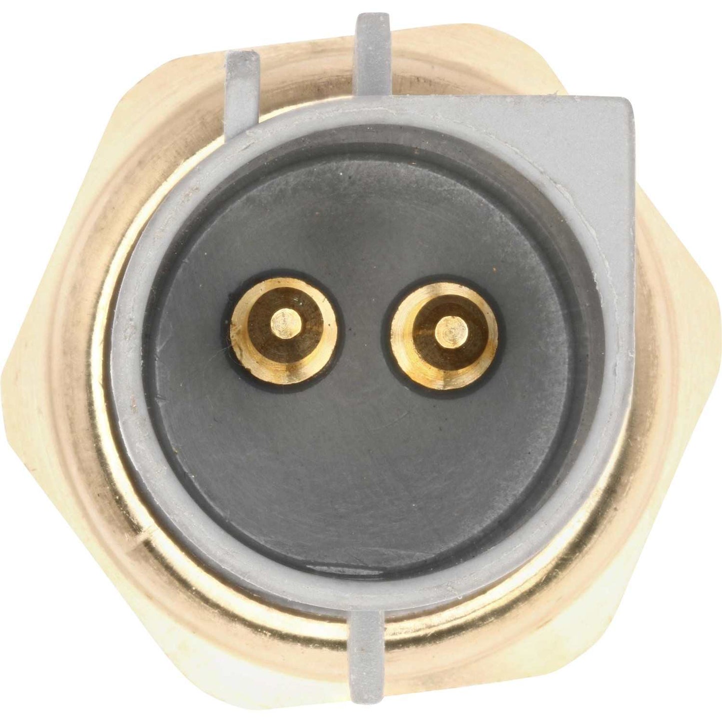 HOLSTEIN Holstein Parts 2CTS0282 Engine Coolant Temperature Sensor 2CTS0282