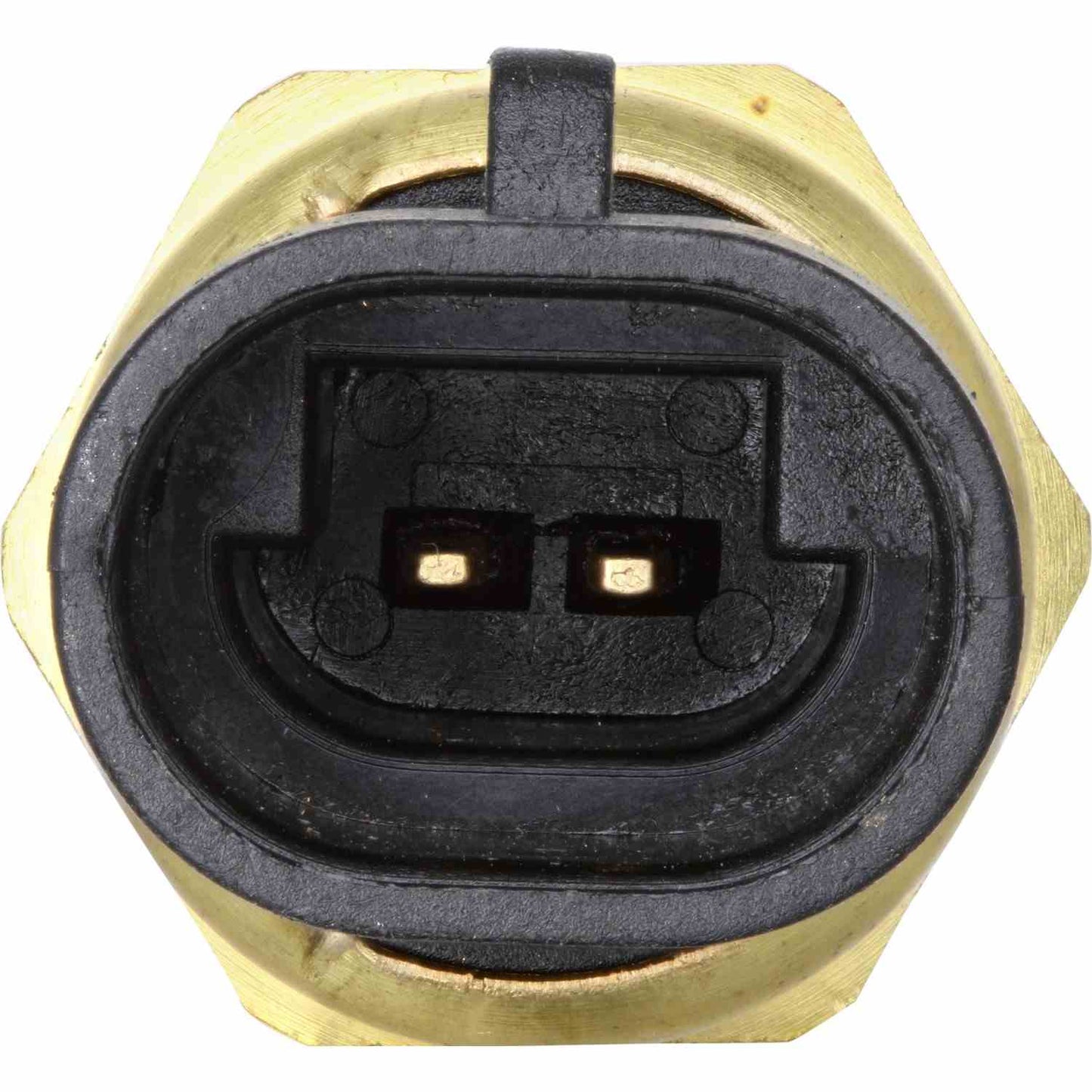 HOLSTEIN Holstein Parts 2CTS0318 Engine Coolant Temperature Sensor 2CTS0318