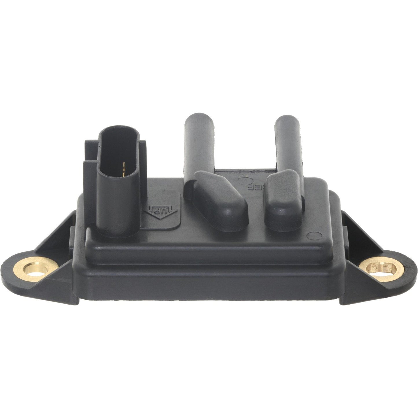 Holstein 2EGR0019