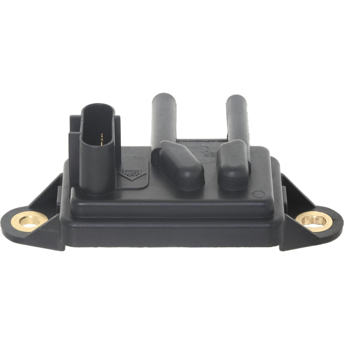 Holstein 2EGR0019