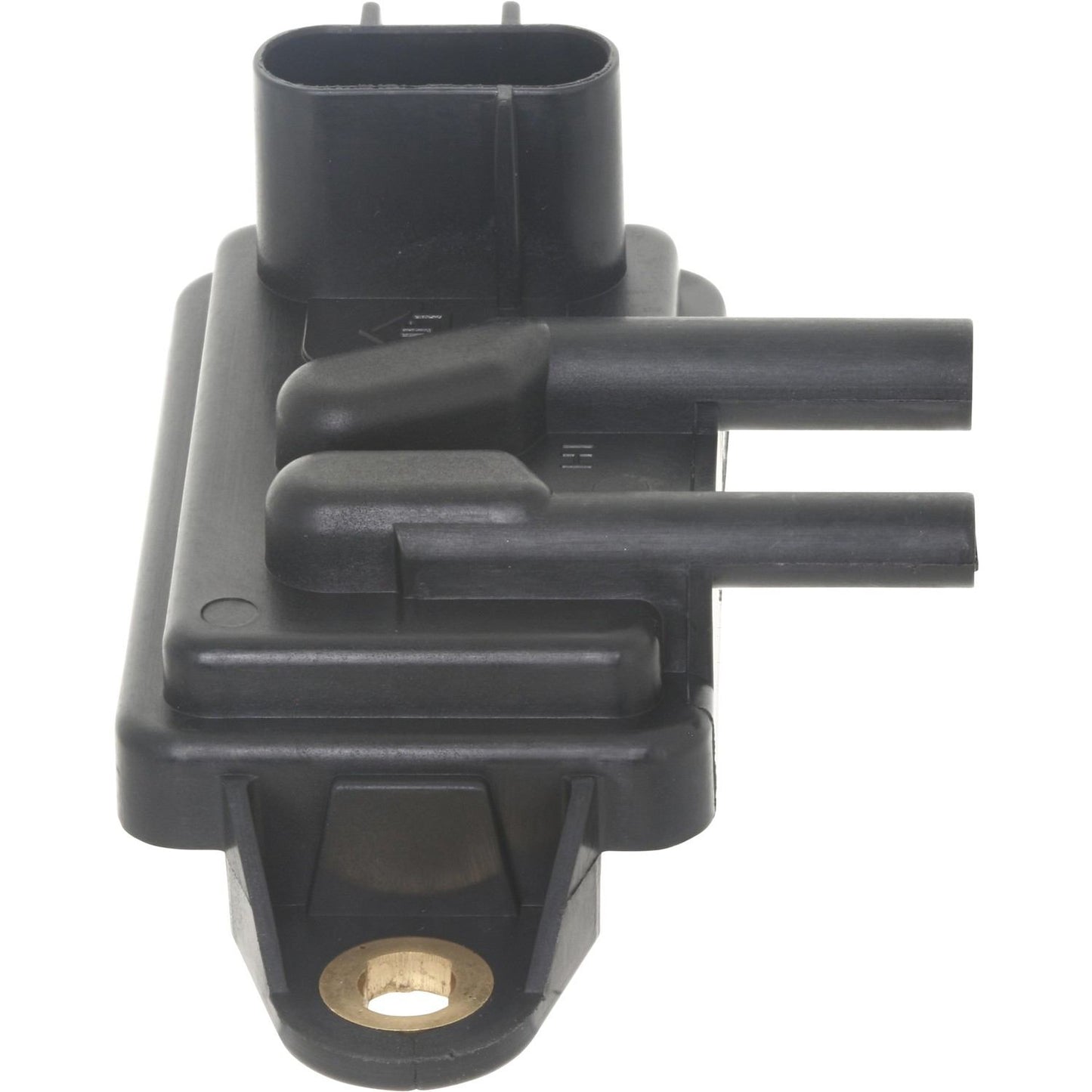 Holstein 2EGR0019