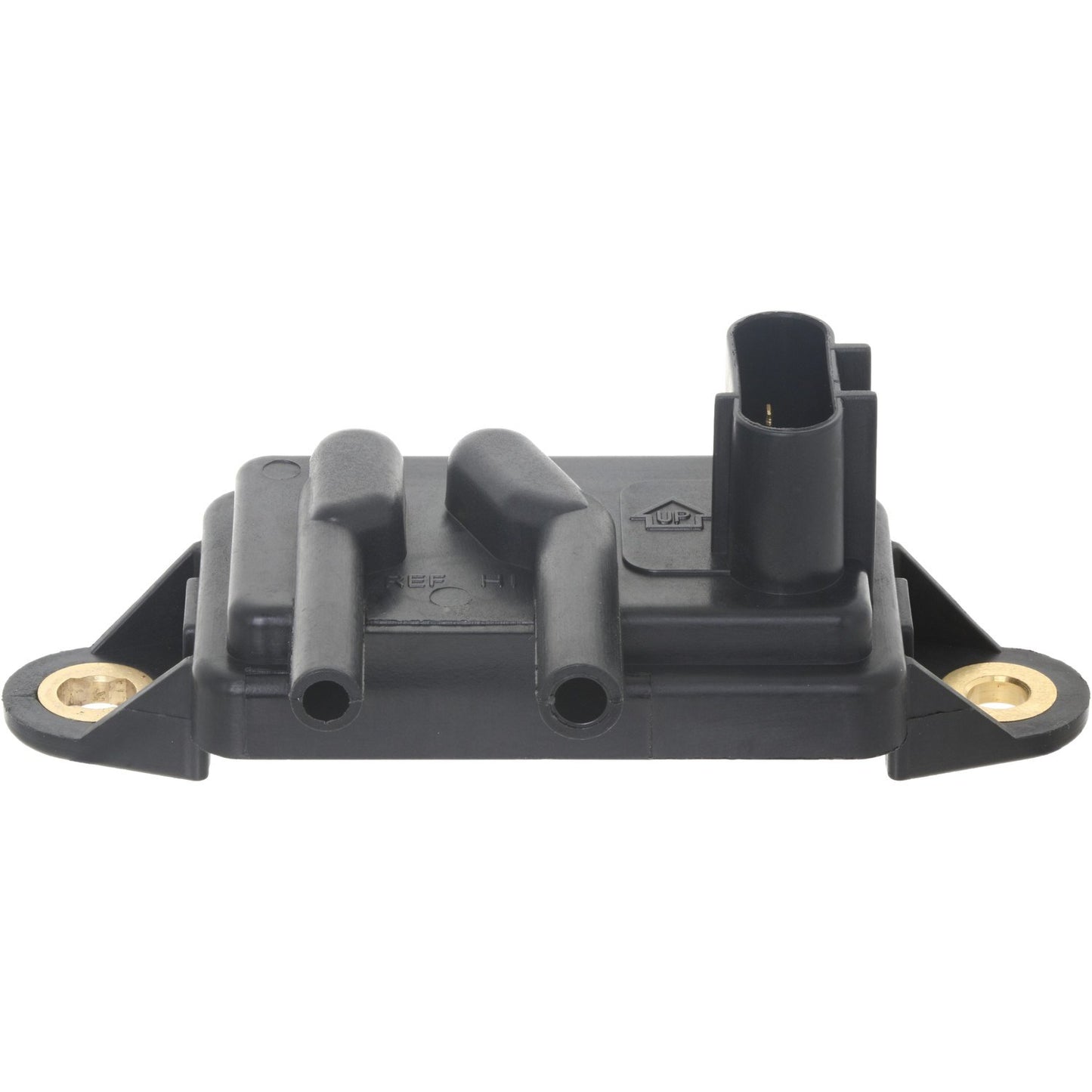 Holstein 2EGR0019