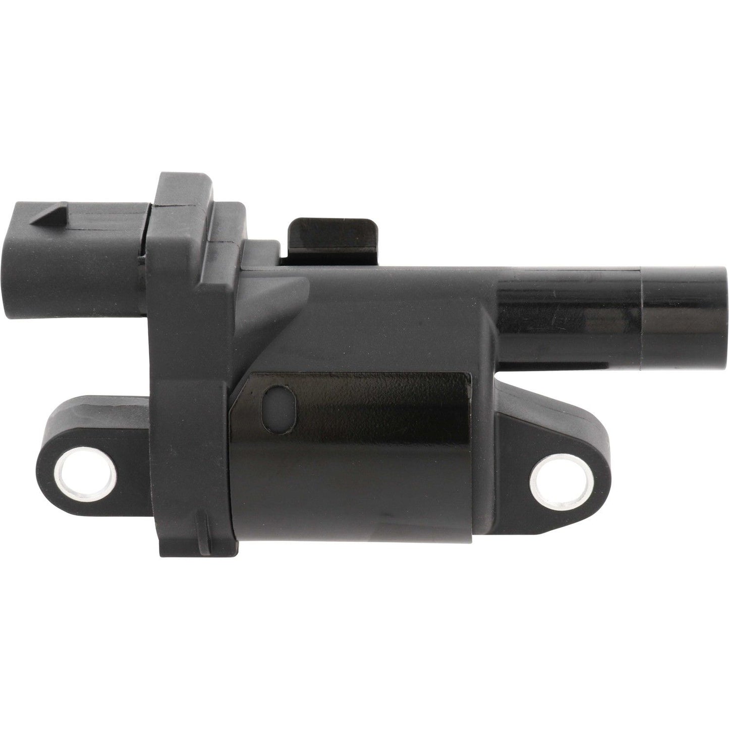 Holstein 2IGC0004