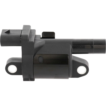 Holstein 2IGC0004