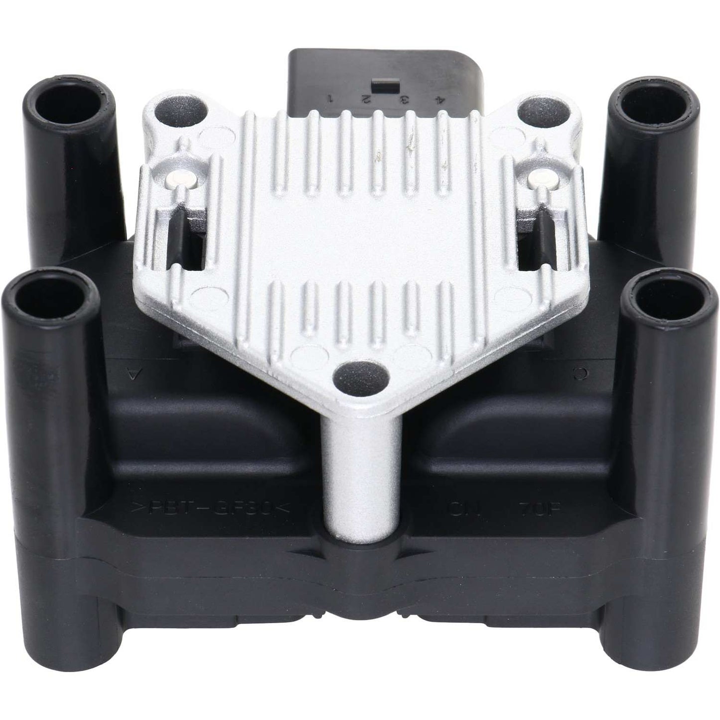 Holstein 2IGC0011