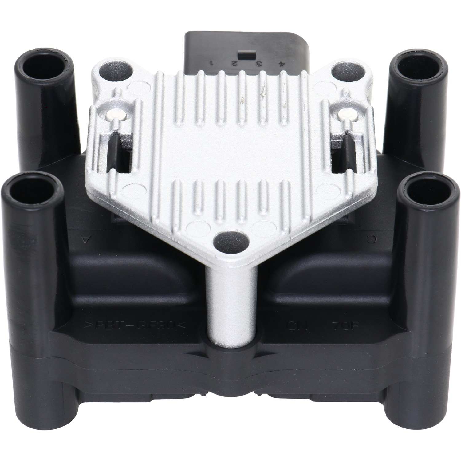 Holstein 2IGC0011