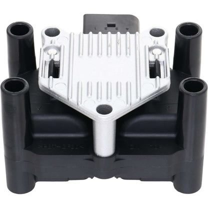 Holstein 2IGC0011