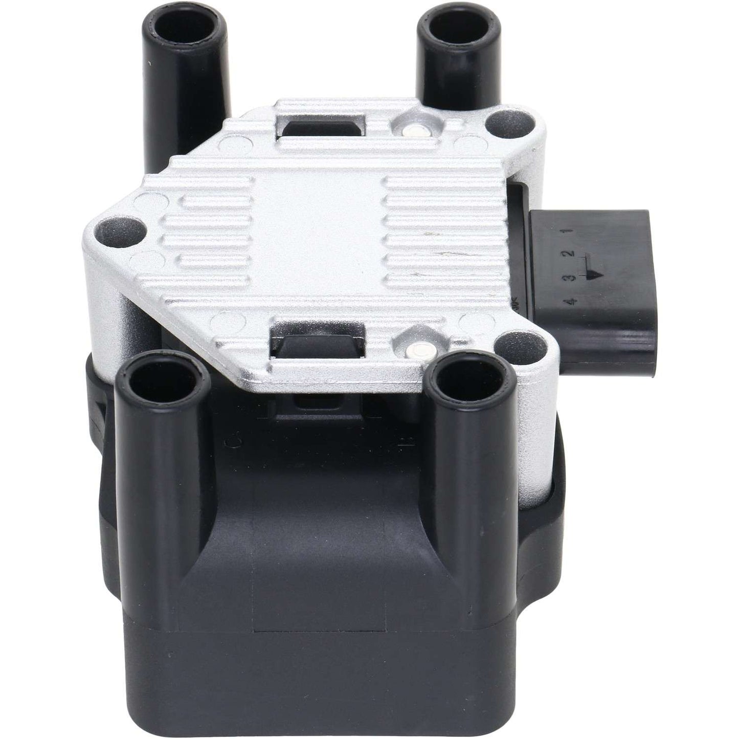 Holstein 2IGC0011