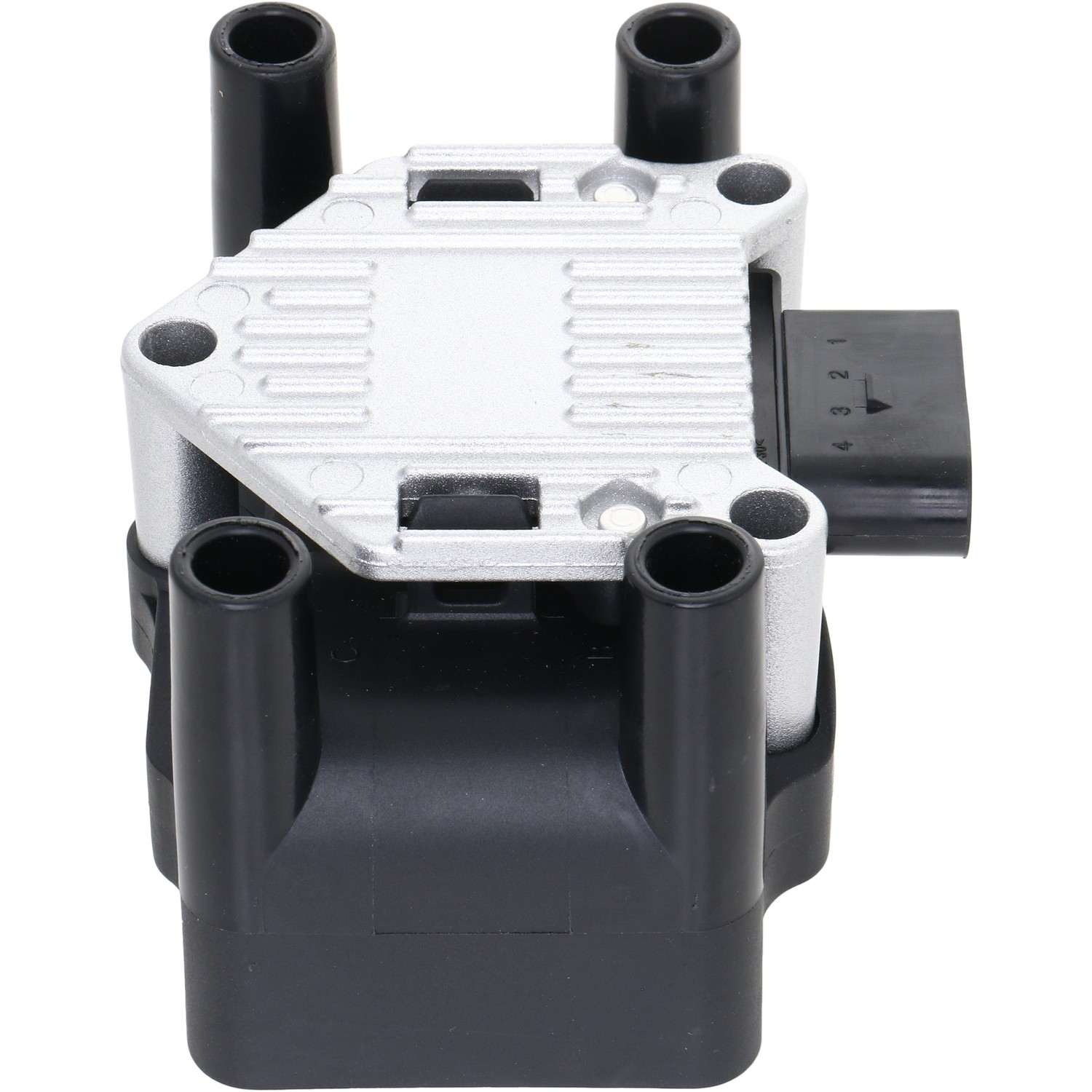 Holstein 2IGC0011
