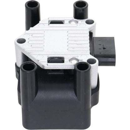 Holstein 2IGC0011