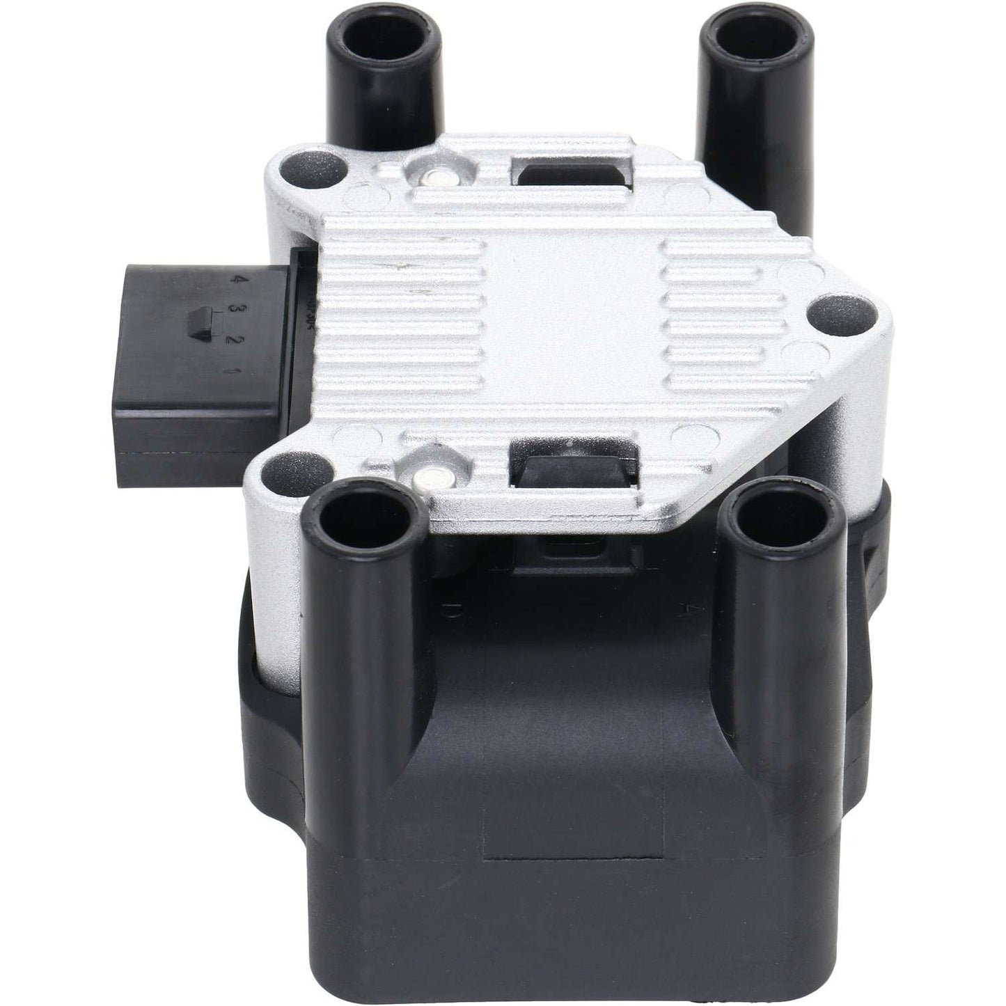 Holstein 2IGC0011