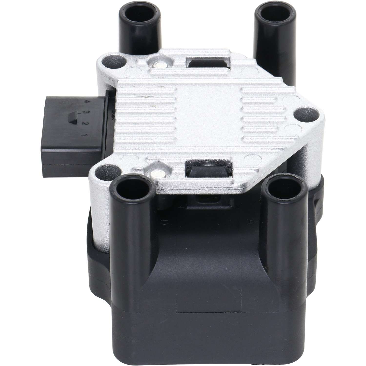 Holstein 2IGC0011