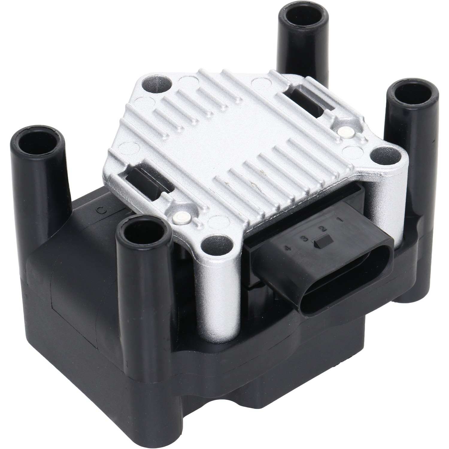 Holstein 2IGC0011