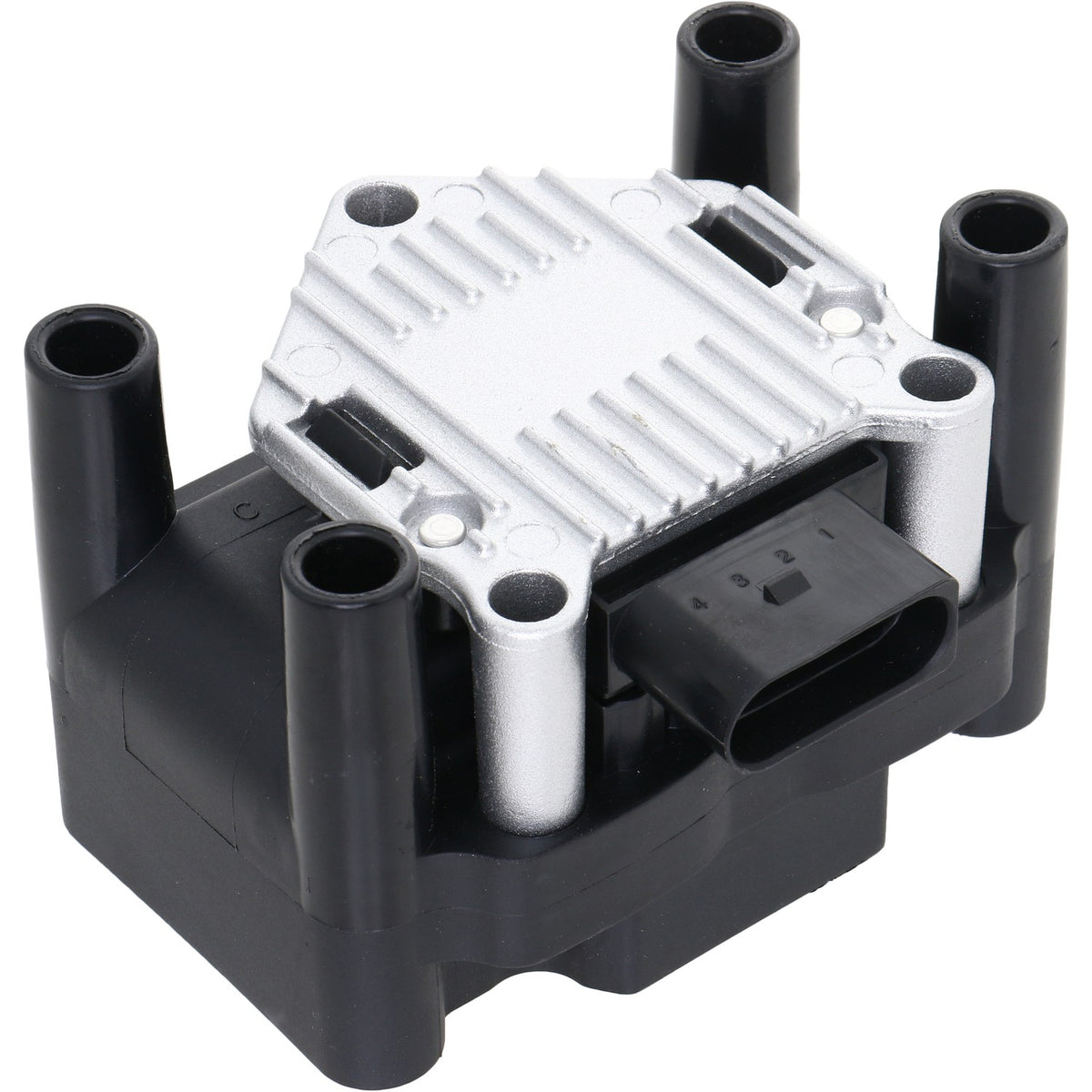 Holstein 2IGC0011