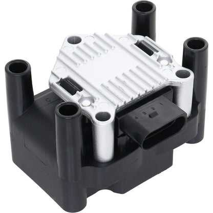 Holstein 2IGC0011