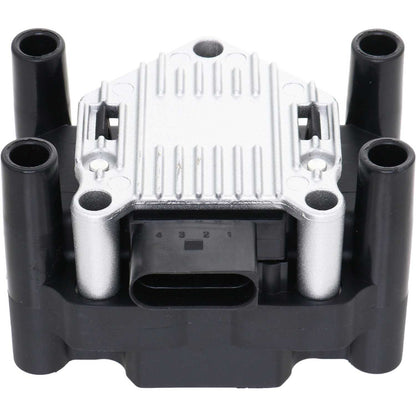 Holstein 2IGC0011