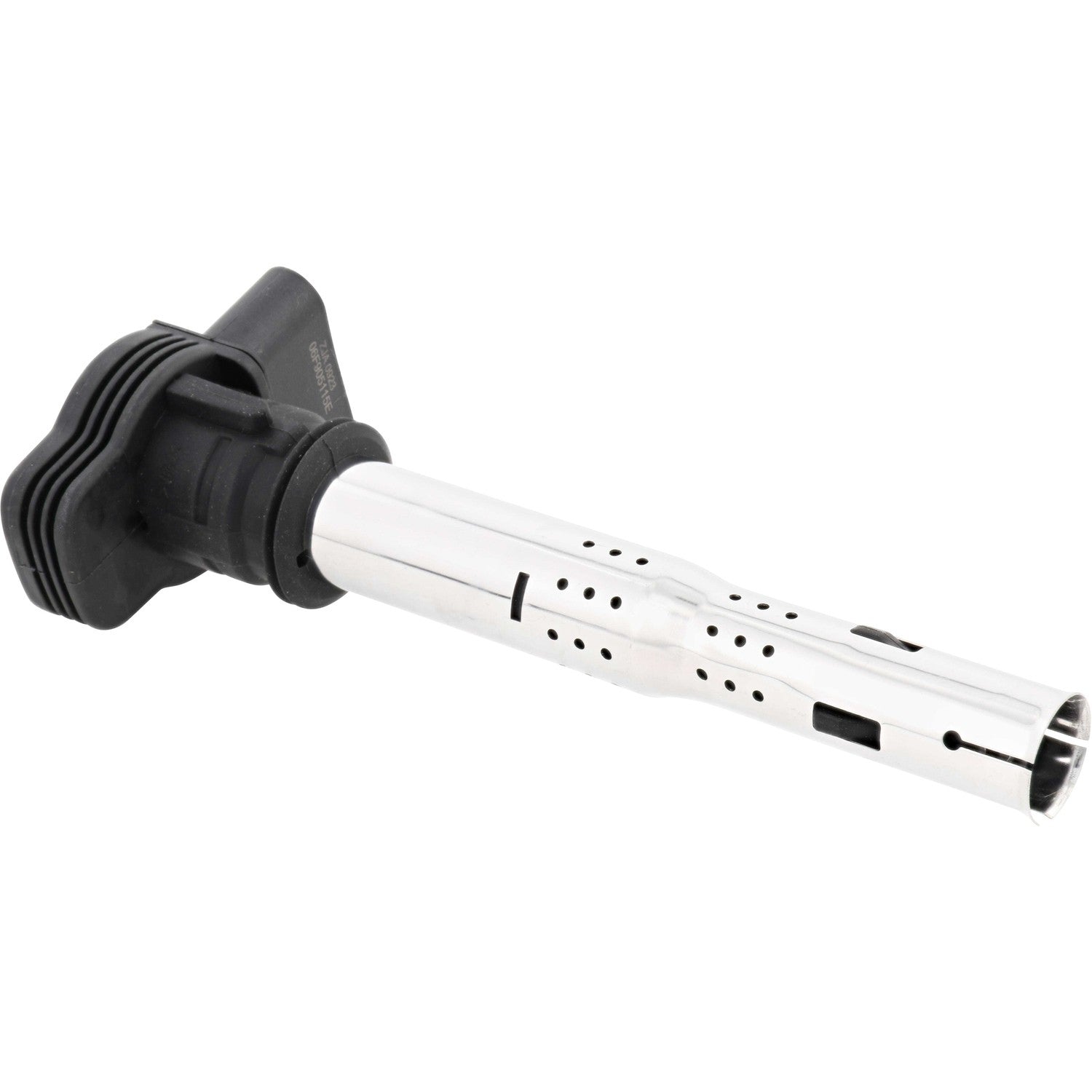 Holstein 2IGC0035