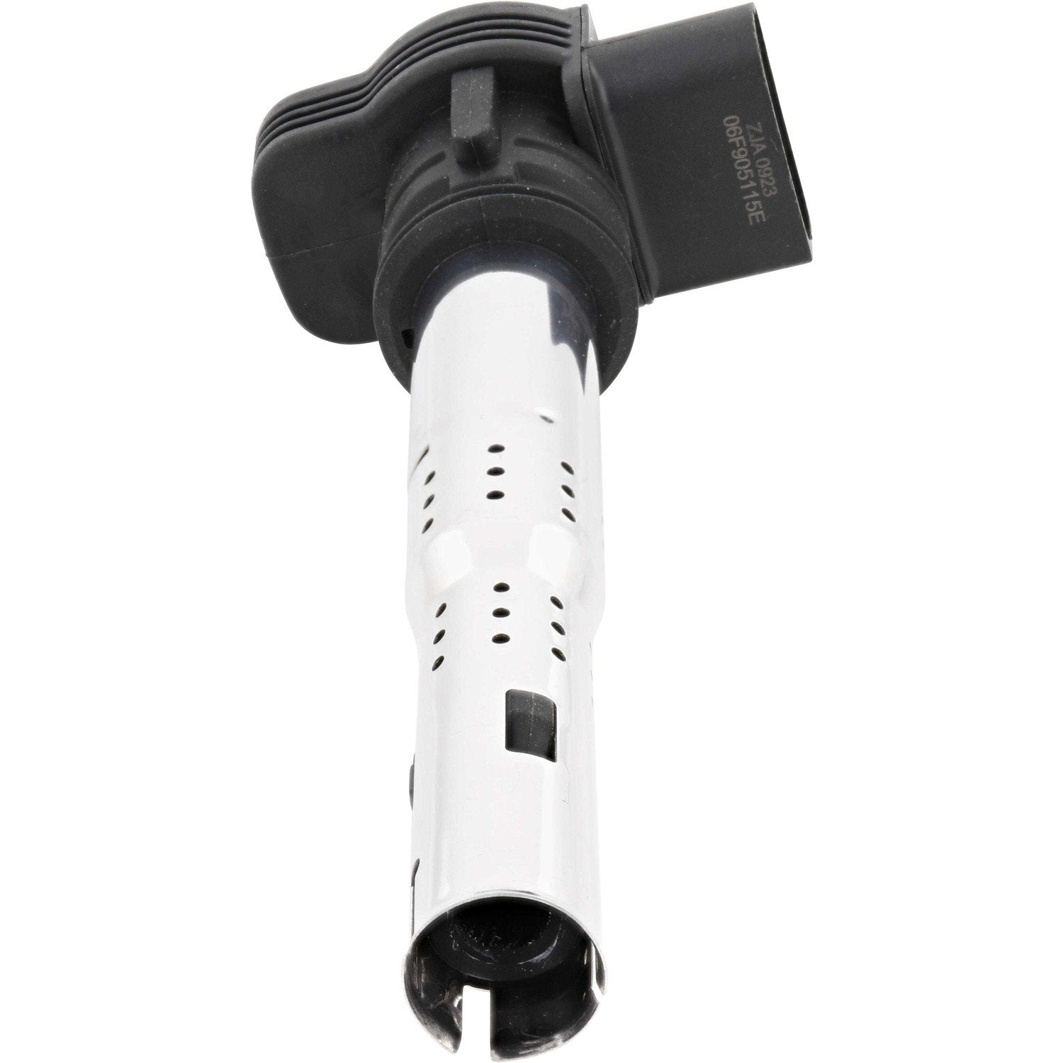 Holstein 2IGC0035